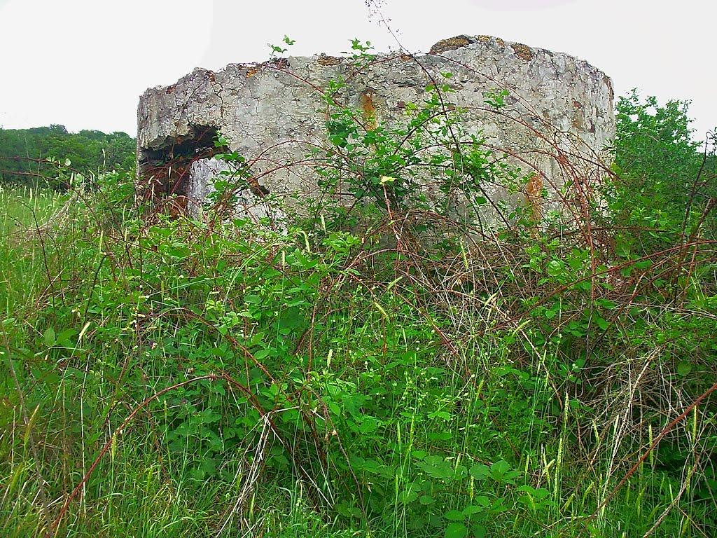 Щасливе з panoramio.com - Счастливое