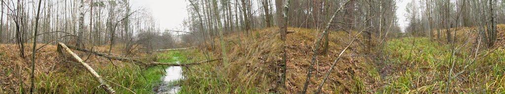 Паранине з panoramio.com - Паранино