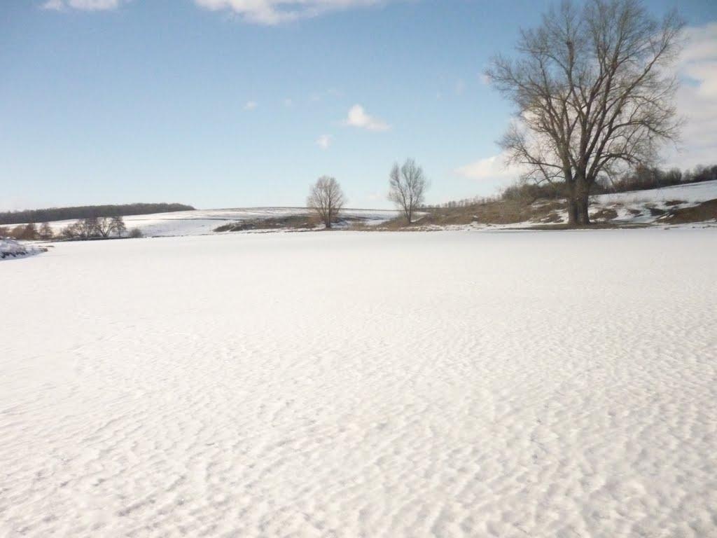 Новосілка з panoramio.com - Новосілка