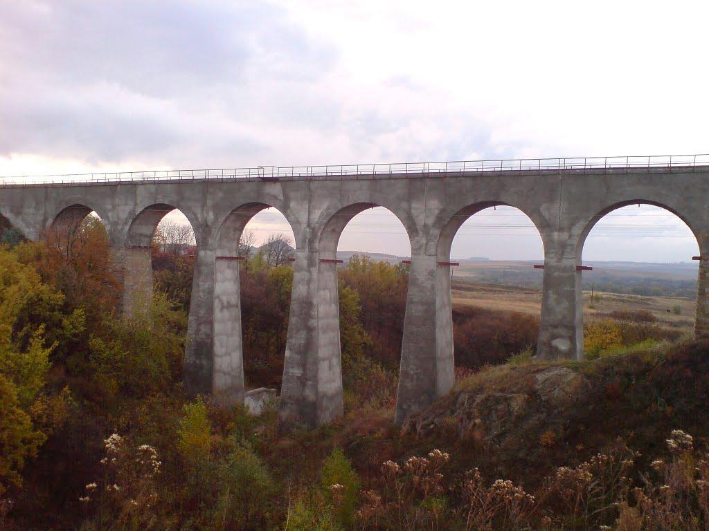 Голубівське з panoramio.com