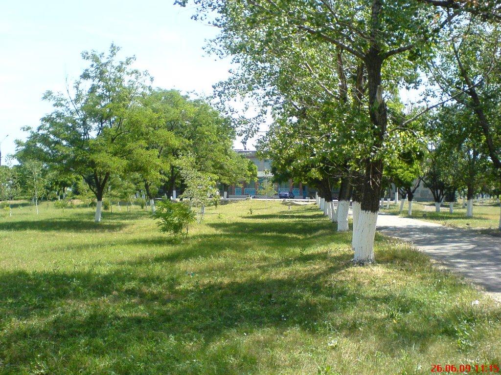 Талаківка з panoramio.com - Talakivka