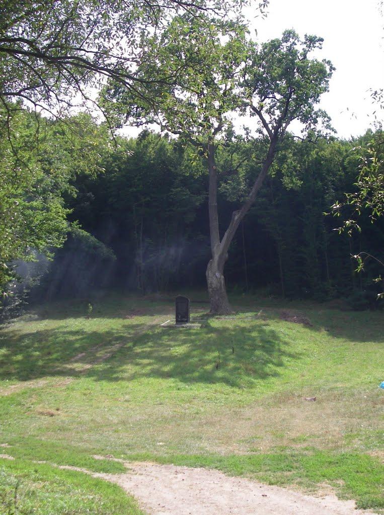 Розумівка з panoramio.com - Розумівка