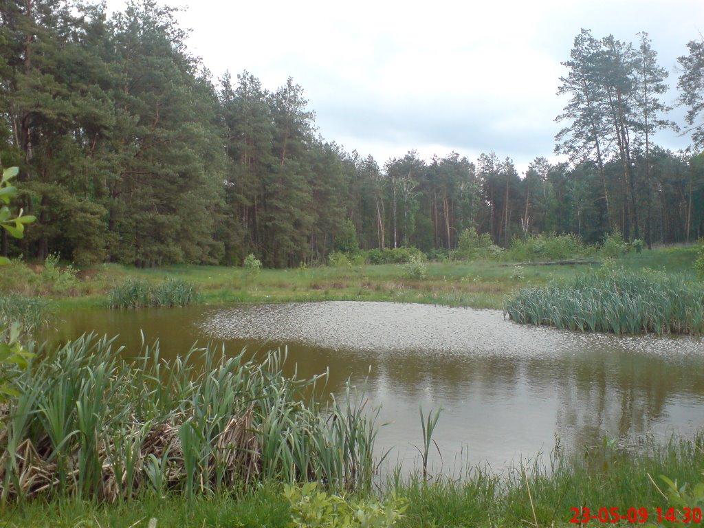 Гукове з panoramio.com - Гукове