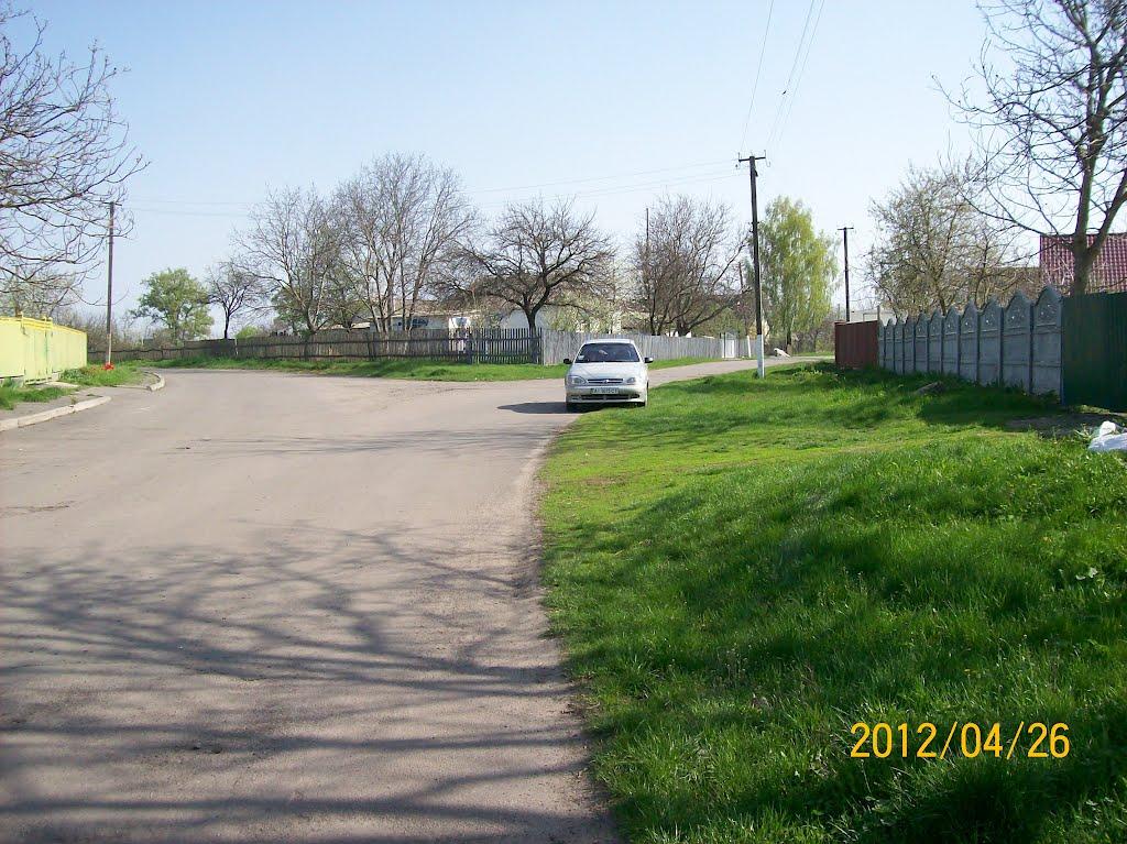 Савинці з panoramio.com - Савинці