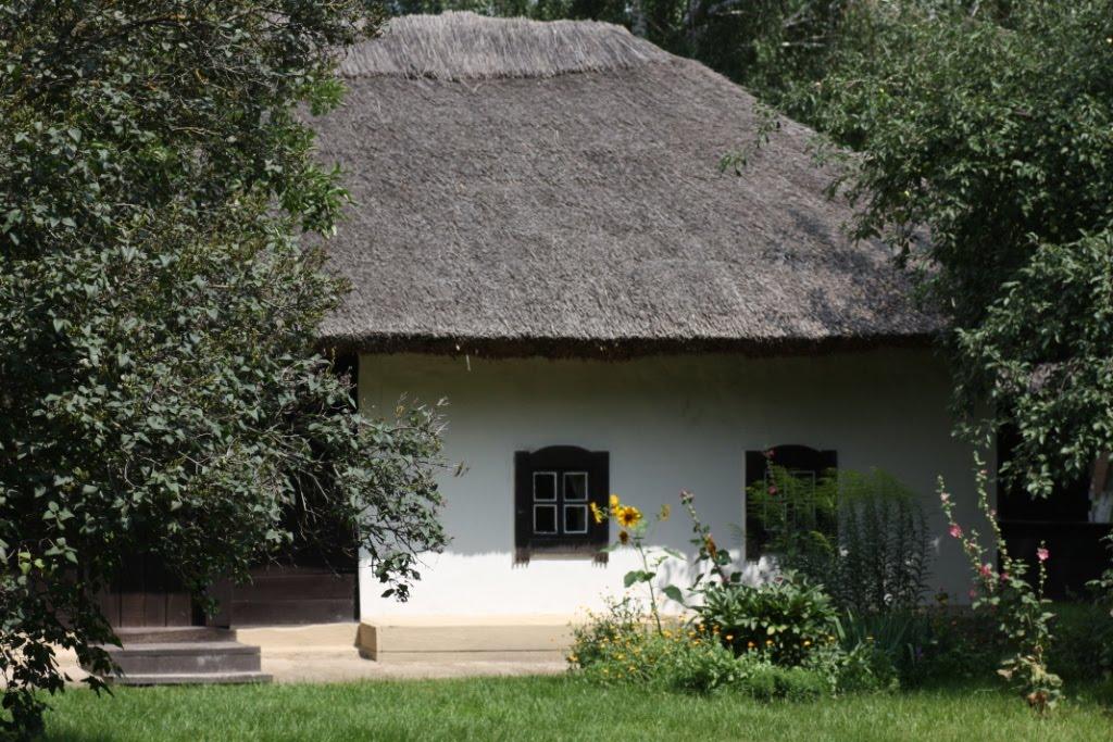 Чорнухи з panoramio.com