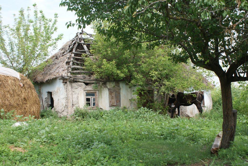 Чемерпіль з panoramio.com - Чемерполь