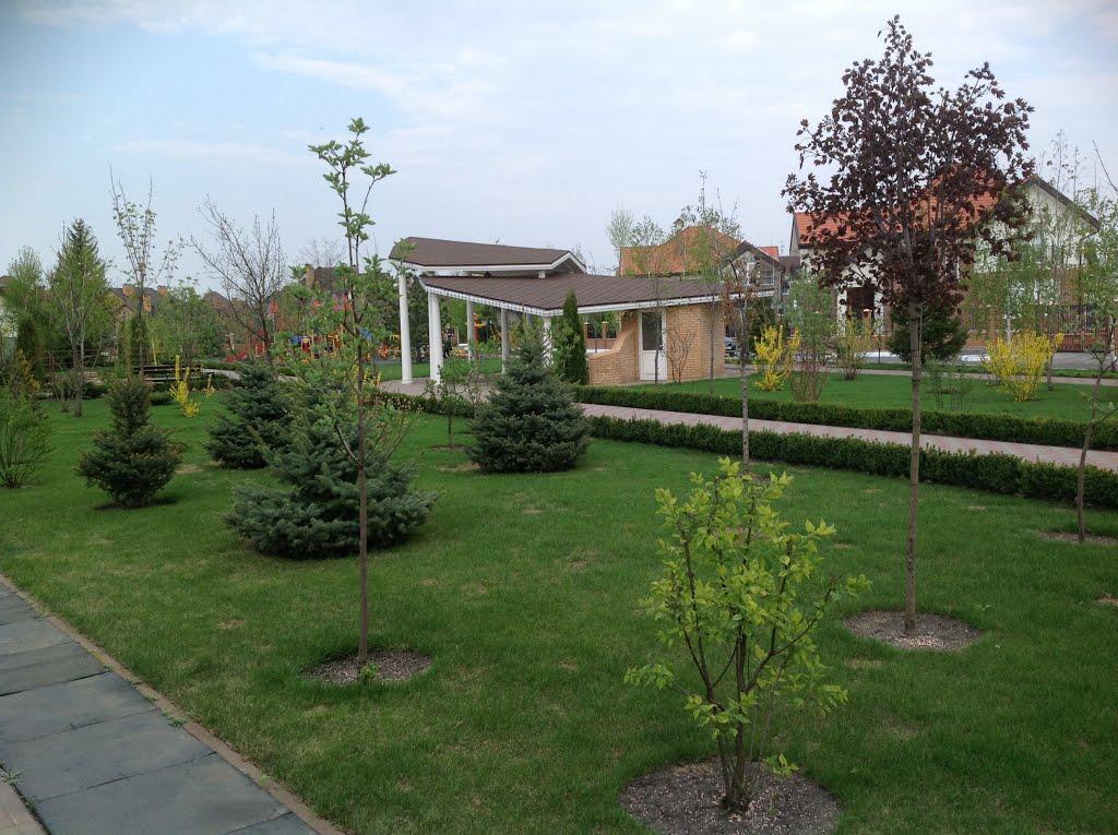 Вишеньки з panoramio.com - Вишенки