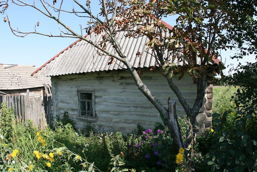 Більшицька Слобода з panoramio.com - Більшицька Слобода