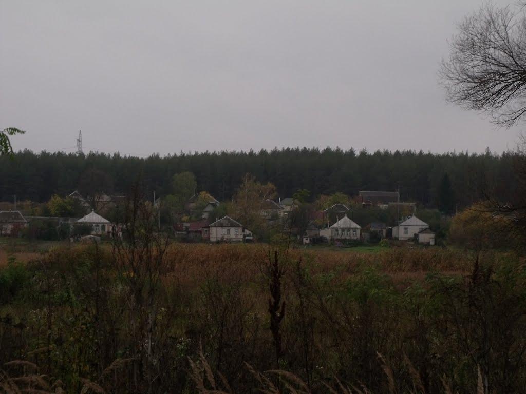 Чемужівка з panoramio.com - Чемужівка