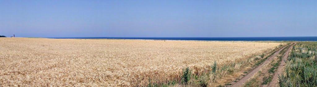 Курортне з panoramio.com - Курортное