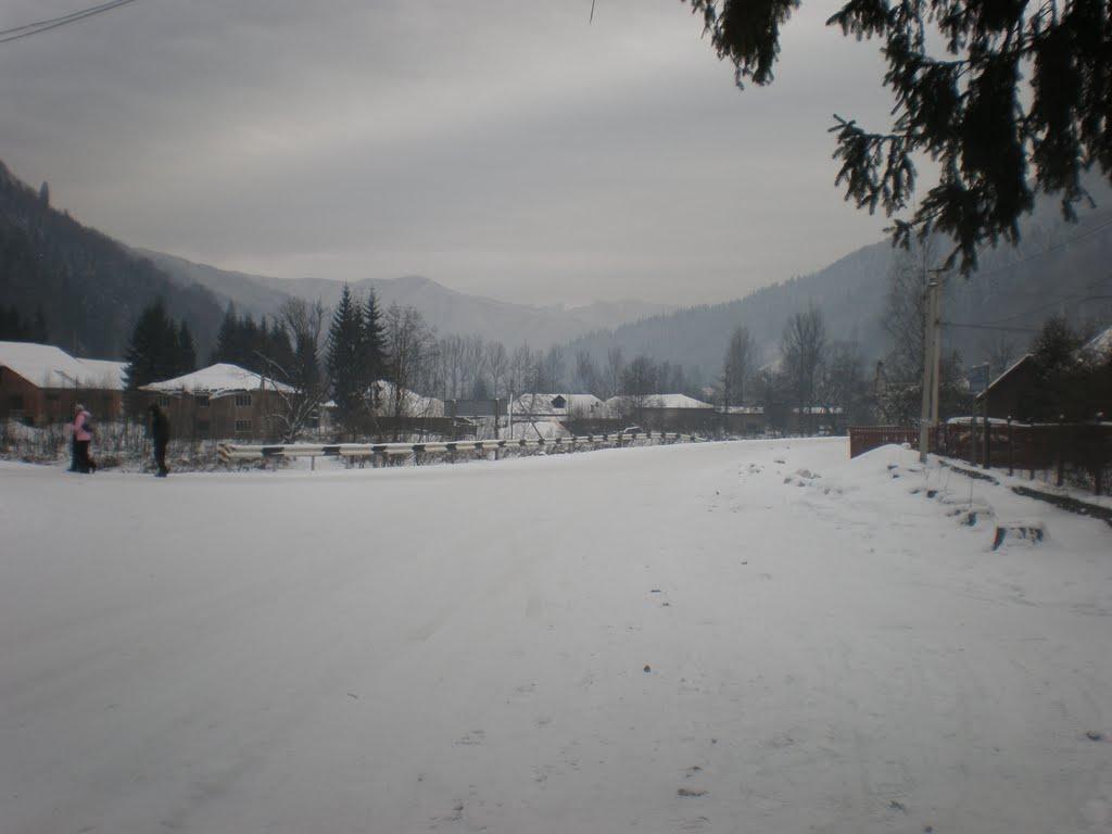 Усть-Чорна з panoramio.com - Усть-Чорна