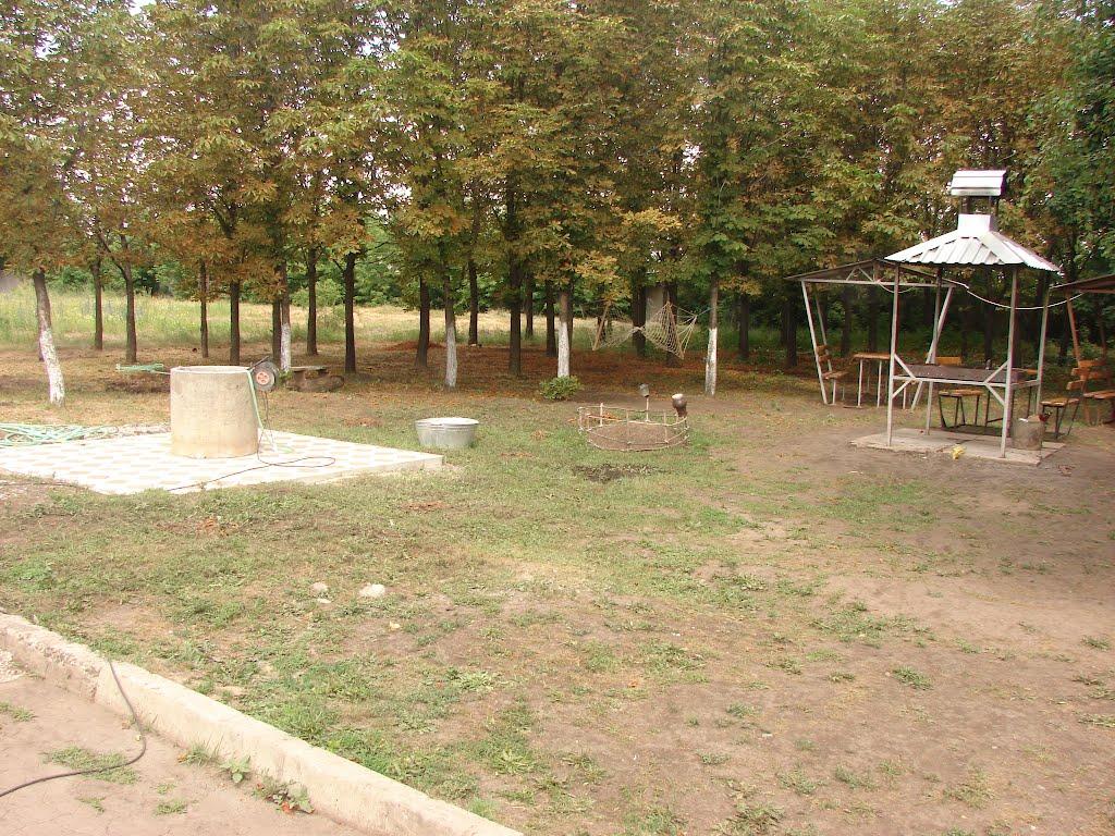 Новий Донбас з panoramio.com - Новый Донбасс