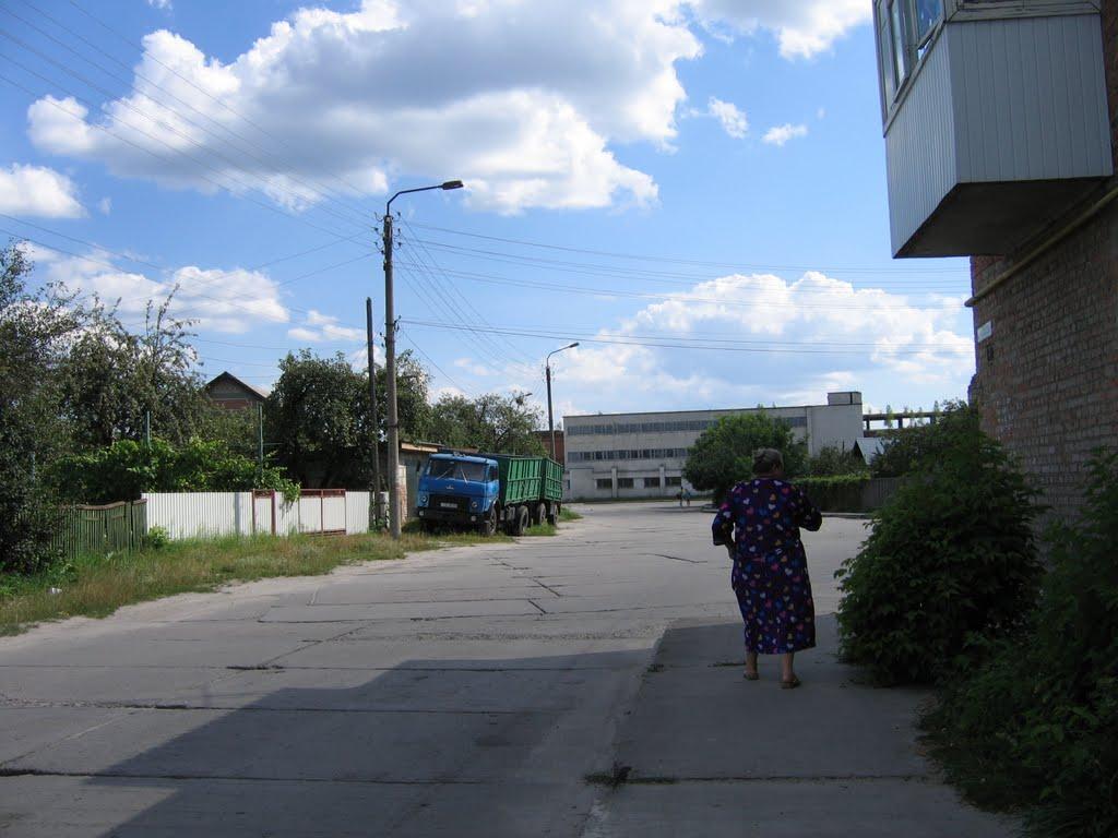 Славута з panoramio.com - Славута