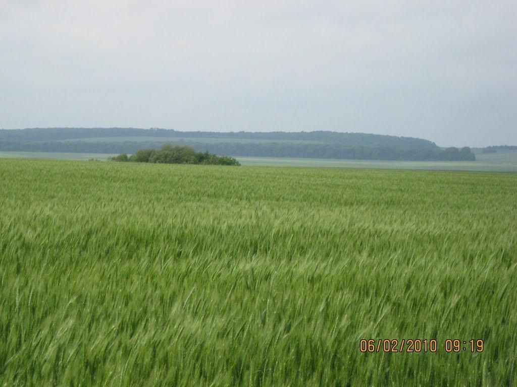 Іванівка з panoramio.com