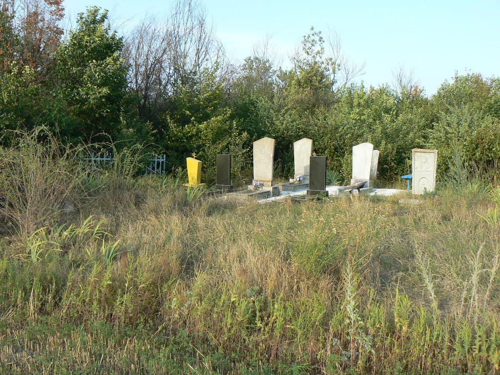 Червоноселівка з panoramio.com - Червоноселівка