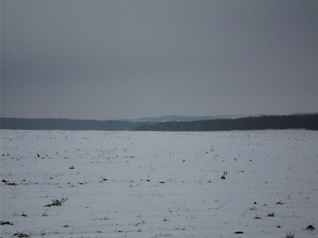 Жовтневе з panoramio.com - Жовтневое