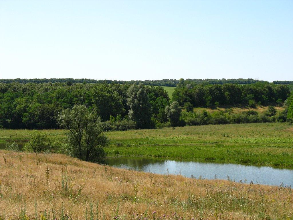 Вільшанка з panoramio.com - Вільшанка