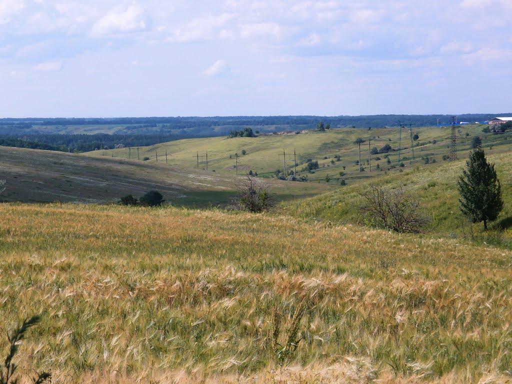 Перше Травня з panoramio.com - Перше Травня