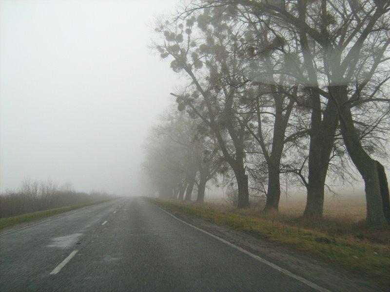 Вільбівне з panoramio.com - Вільбівне