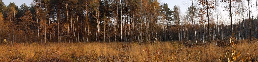 Лісопіль з panoramio.com - Лесополь