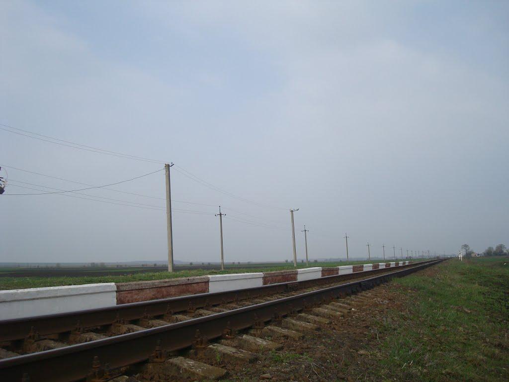 Великий Чернятин з panoramio.com - Великий Чернятин
