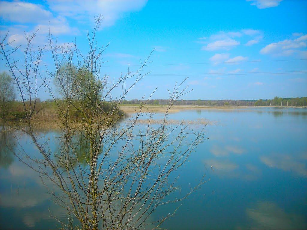 Чернігів з panoramio.com (ч.5) - Чернігів