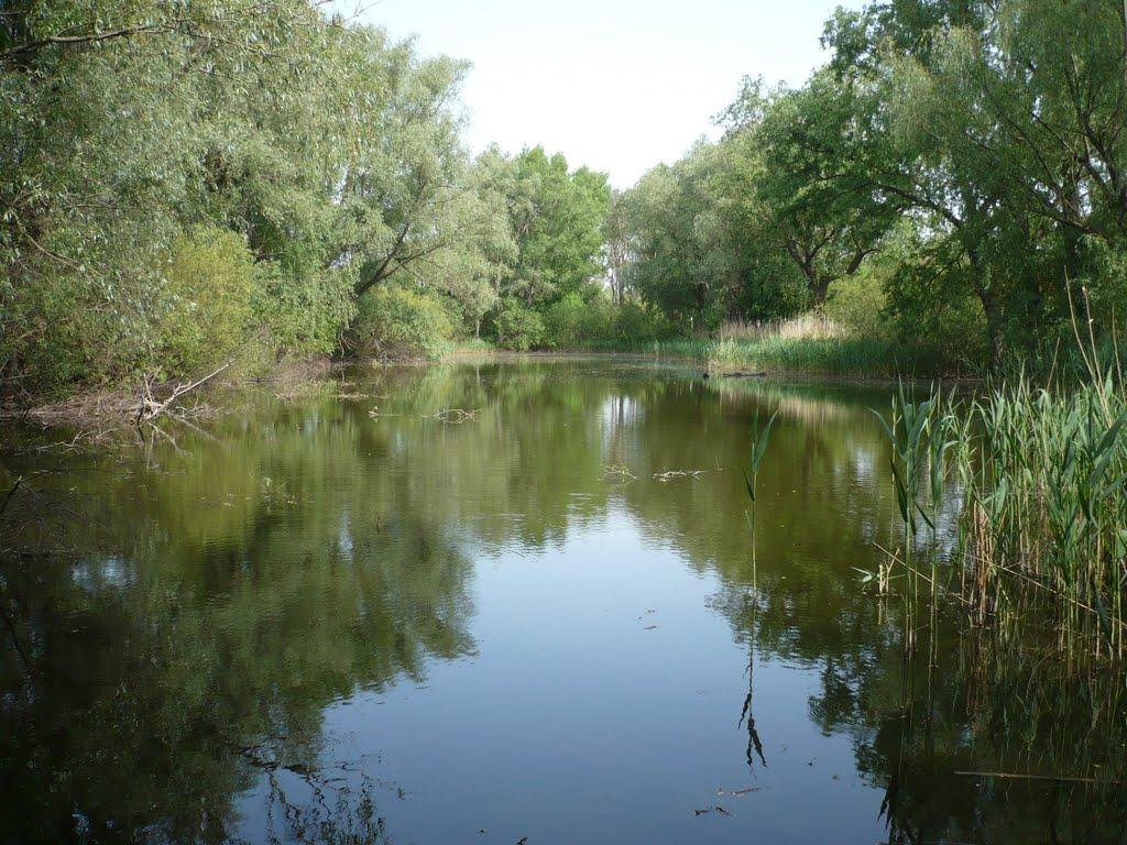 Комарівка з panoramio.com - Комаровка