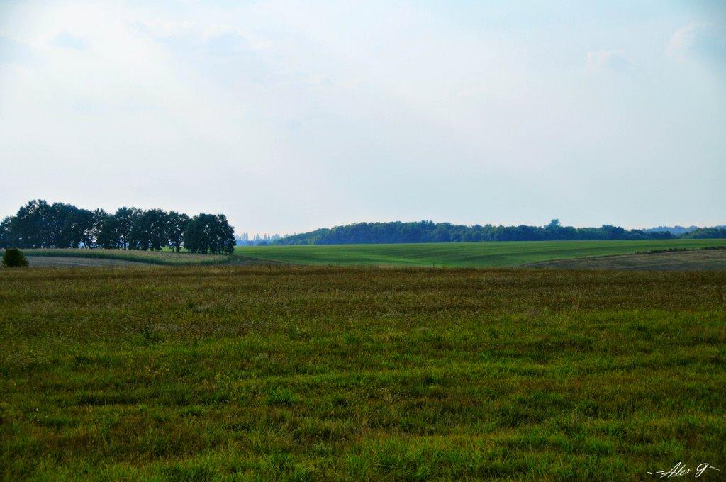 Перше Травня з panoramio.com - Перше Травня