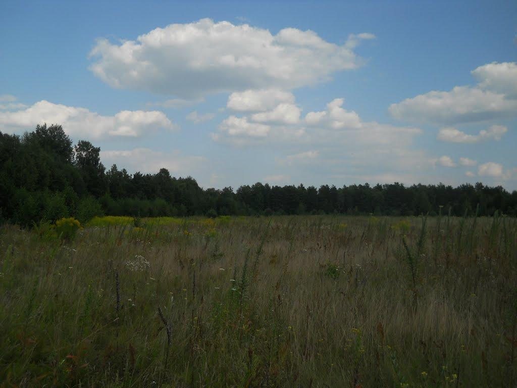 Горщик з panoramio.com - Горщик