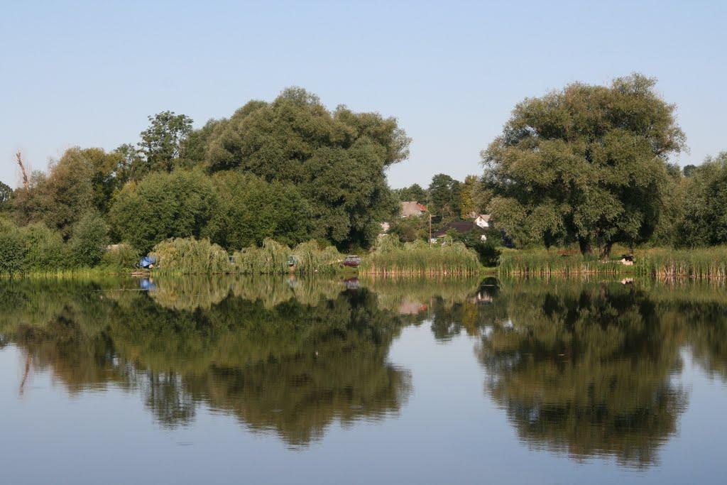 Рідкодуби з panoramio.com - Редкодубы