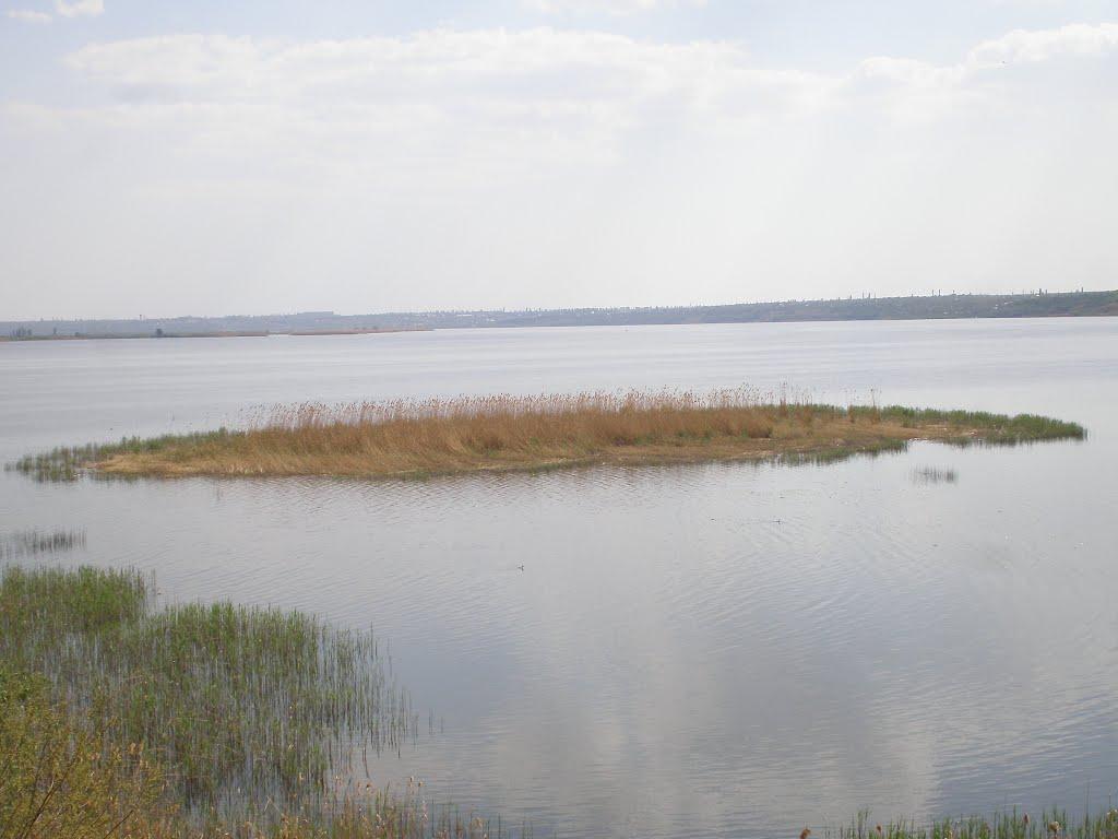 Петрово-Солониха з panoramio.com - Петрово-Солониха