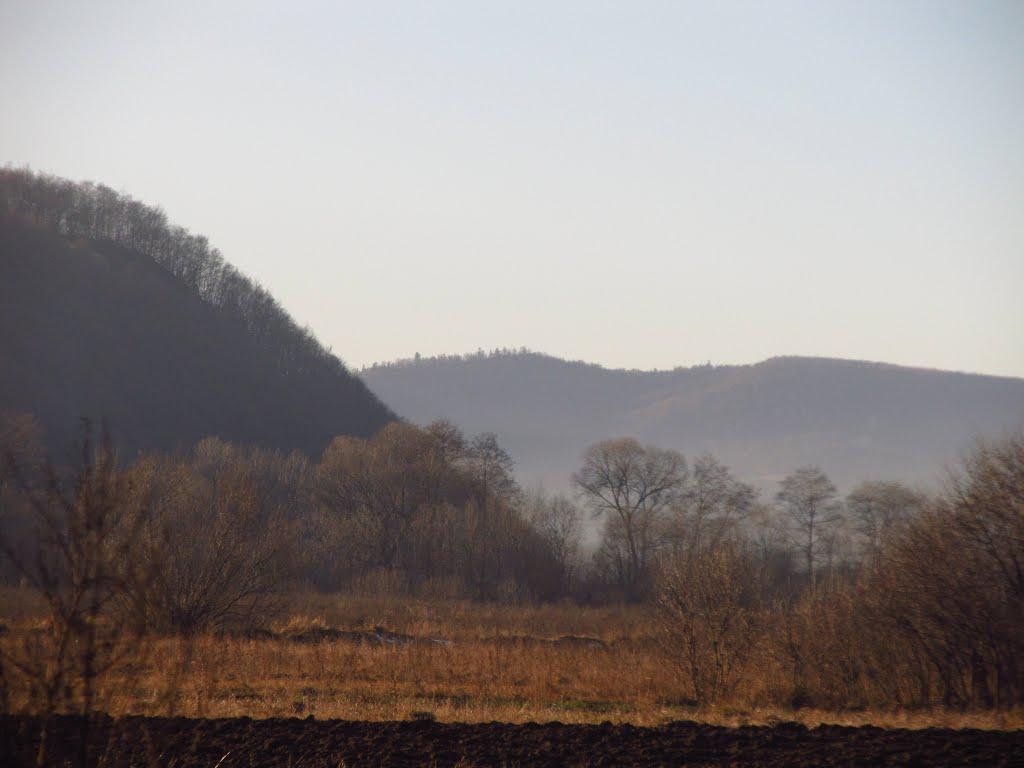 Солотвин з panoramio.com - Солотвин