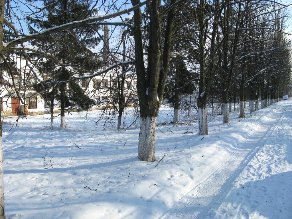 Борщі з panoramio.com - Борщи