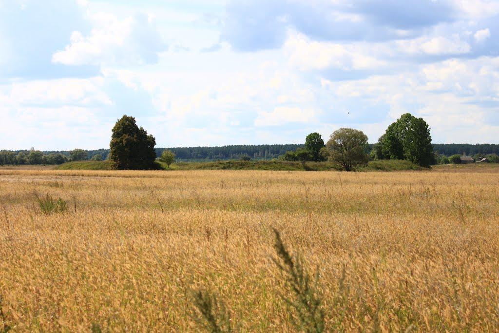 Грубське з panoramio.com - Грубське