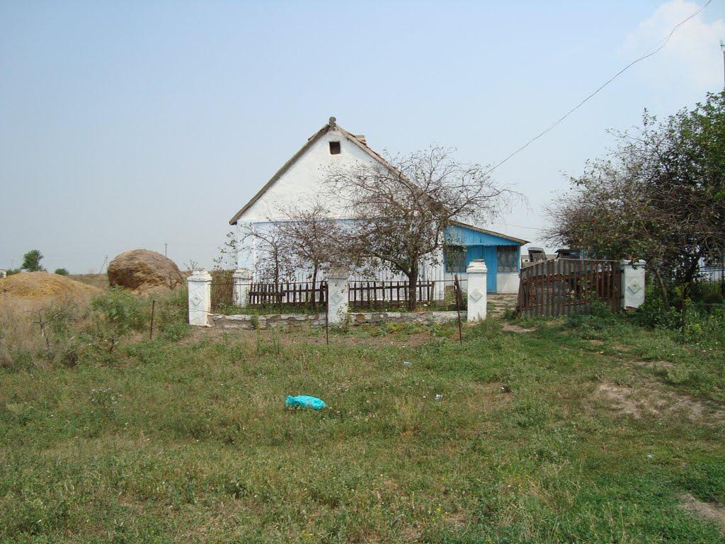 Весняна Квітка з panoramio.com - Весняная Квитка