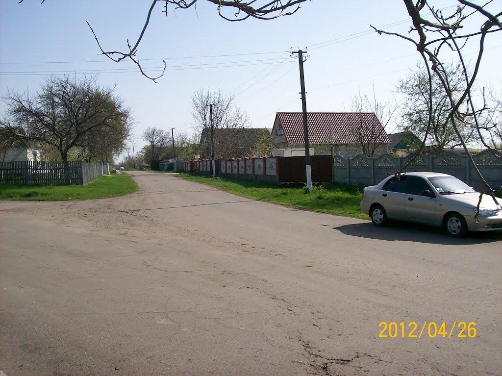 Савинці з panoramio.com - Савинці