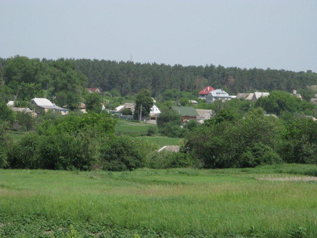 Михайлівка-Рубежівка з panoramio.com - Михайловка Рубежовка