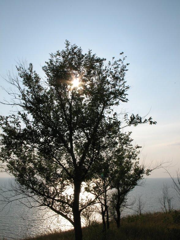Градизьк з panoramio.com - Gradyzk