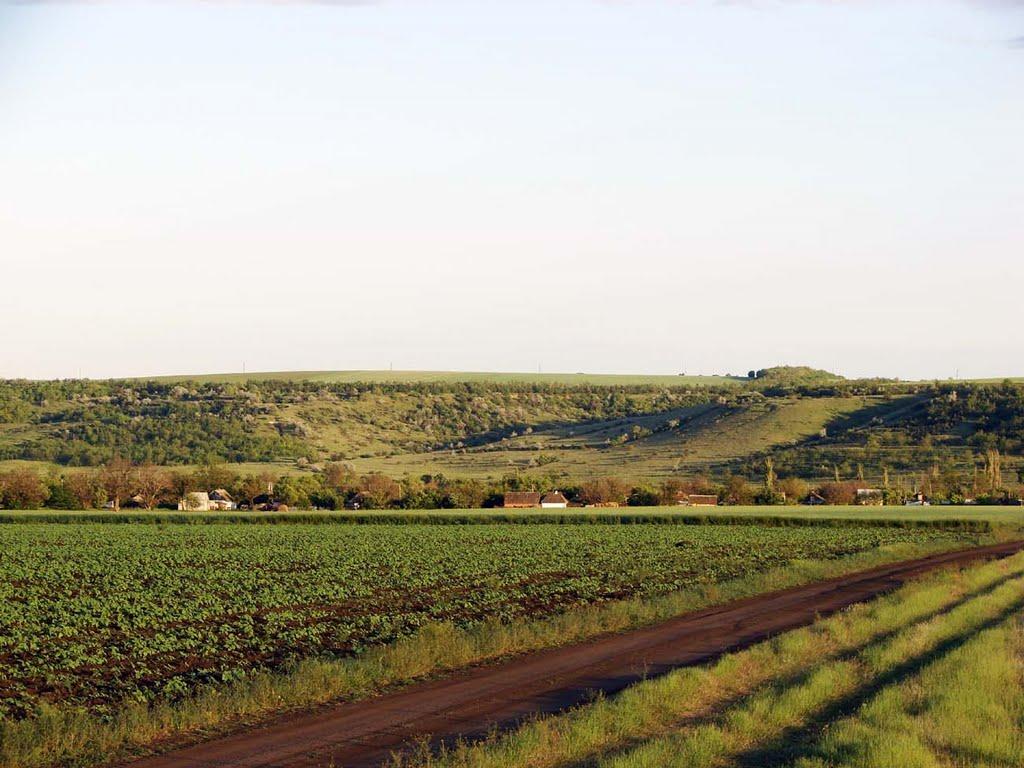 Поріччя з panoramio.com - Поріччя