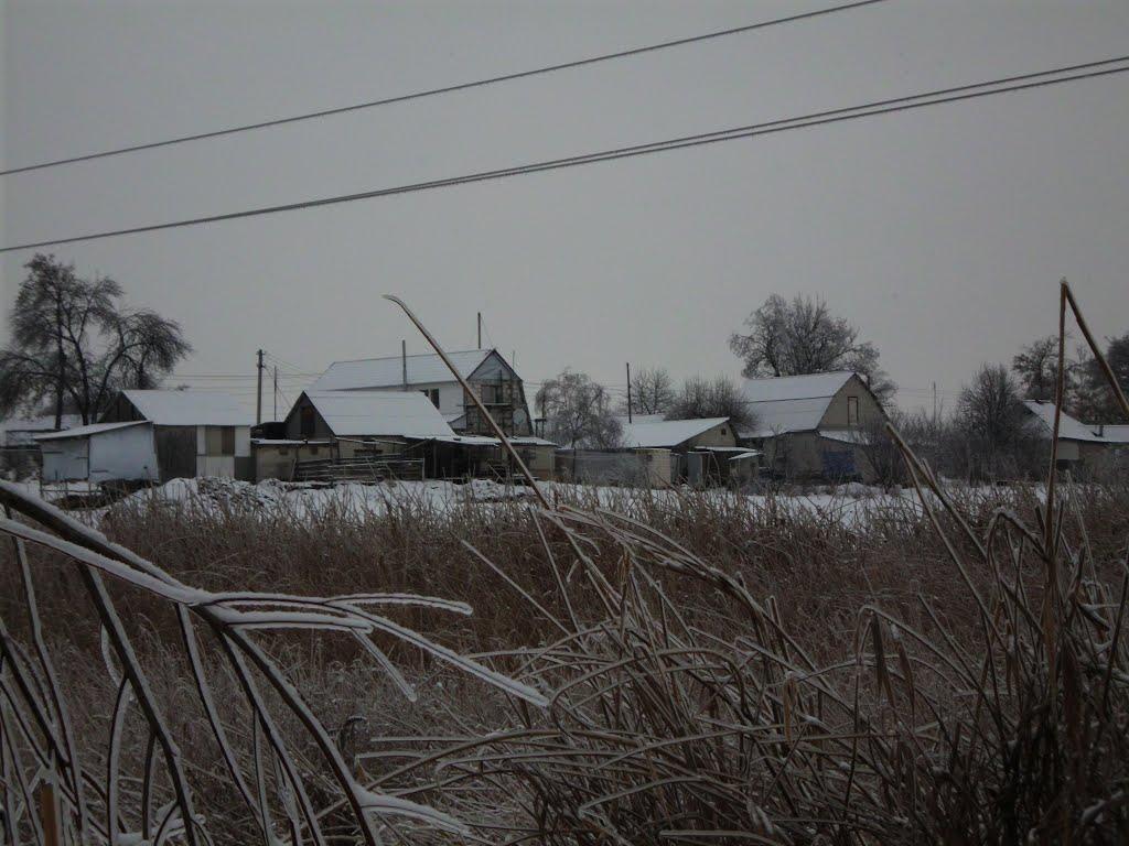 Жовтневе з panoramio.com - Жовтневое