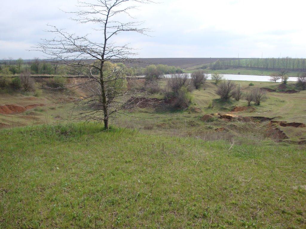 Суботці з panoramio.com - Суботці