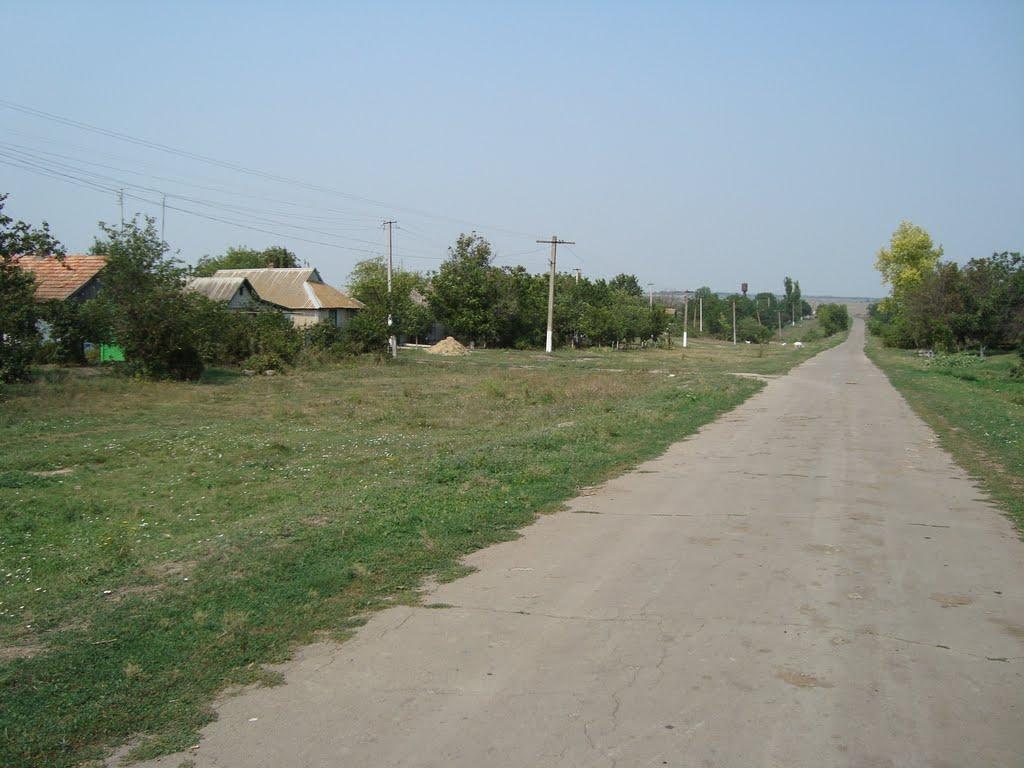 Весняна Квітка з panoramio.com - Весняная Квитка