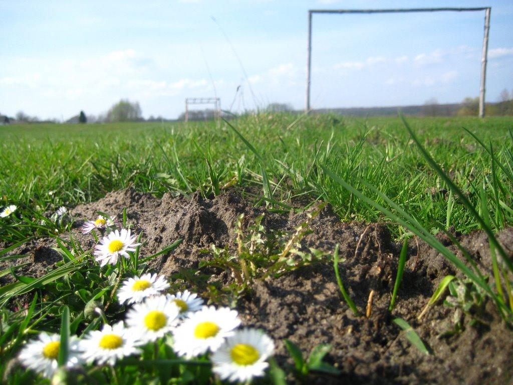 Лелехівка з panoramio.com - Лелеховка