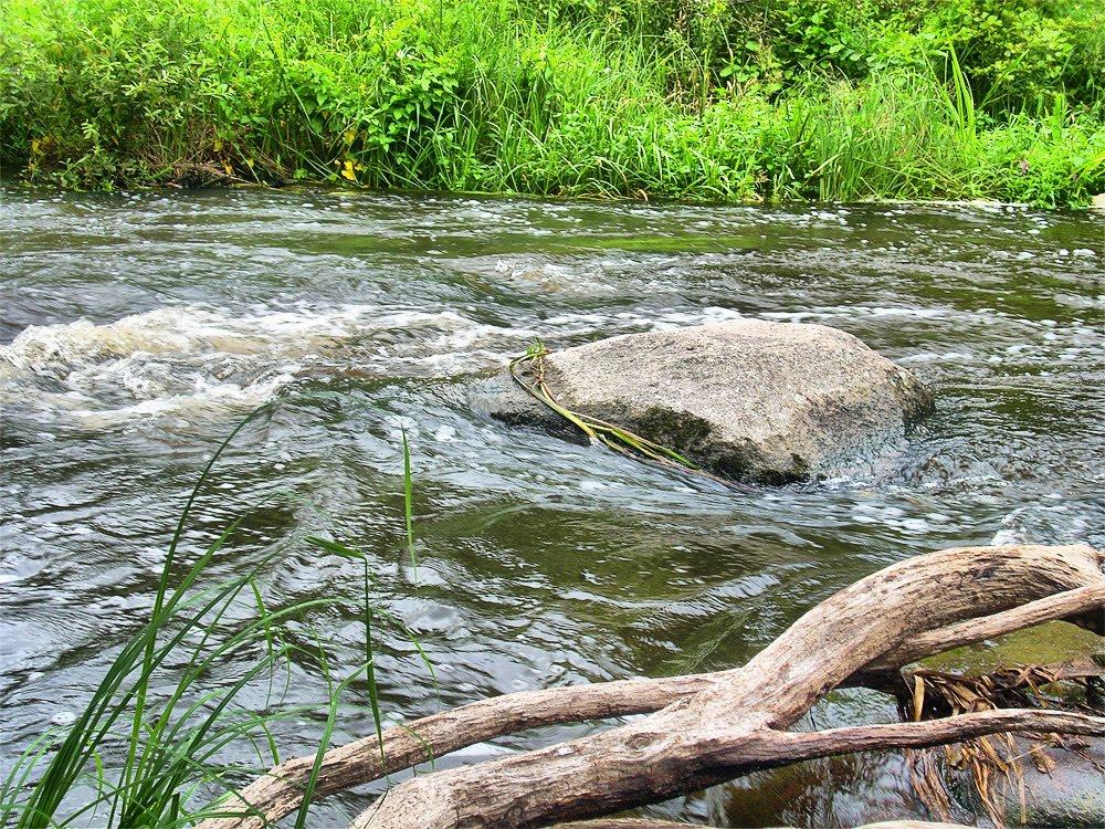 Нова Романівка з panoramio.com - Nova Romanivka