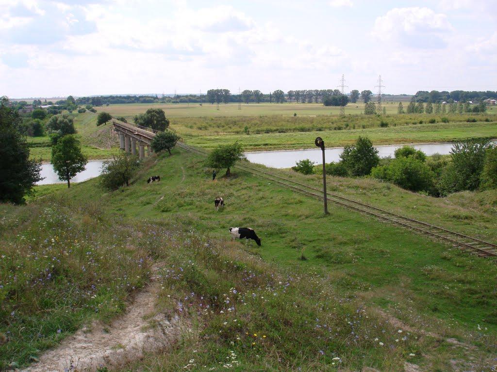 Сокаль з panoramio.com - Сокаль