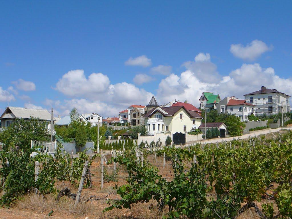 Любимівка з panoramio.com - Любимовка