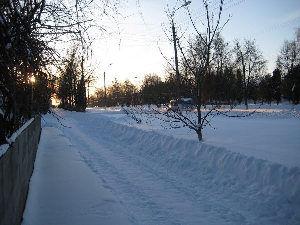 Срібне з panoramio.com - Срібне