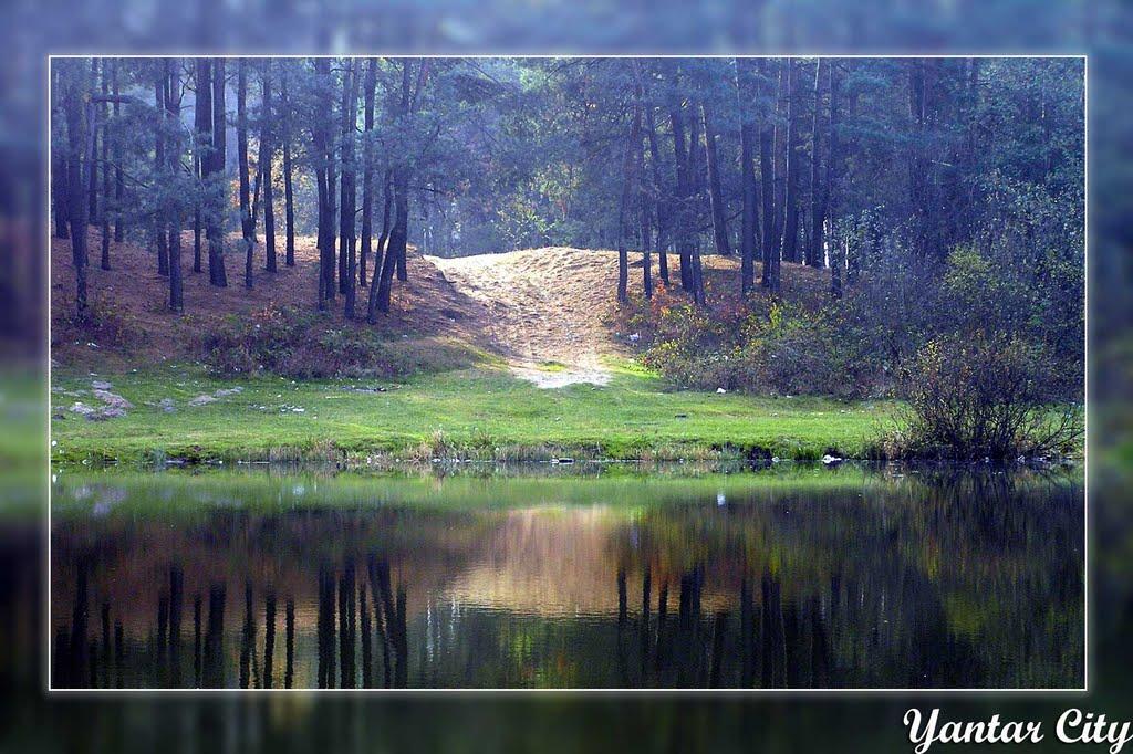 Новояворівське з panoramio.com - Novoyavorivske