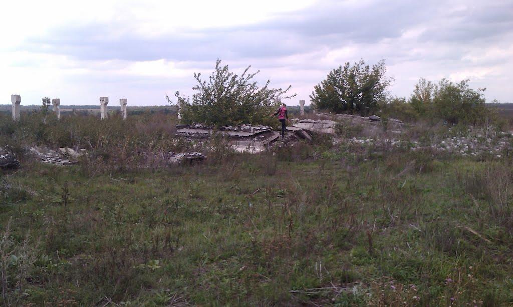 Новий Донбас з panoramio.com - Новий Донбас