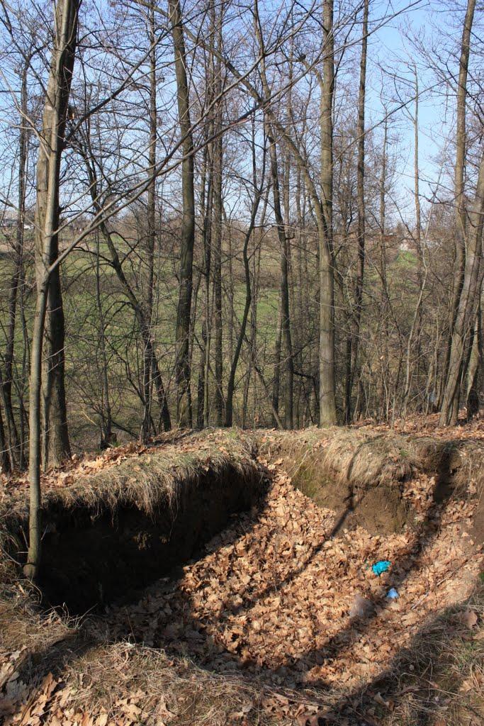 Волосівка з panoramio.com - Волосівка